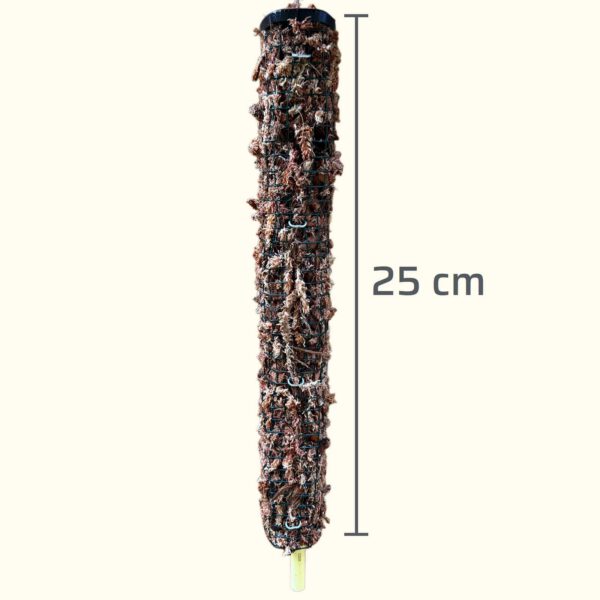 mospaal25cm PlantStuff attachment caption