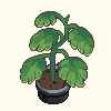 Klimplanten