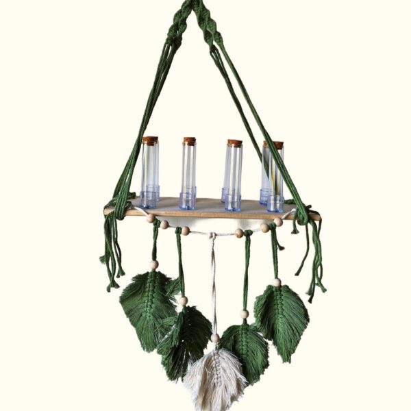 Bohemian style propagation station with vials
