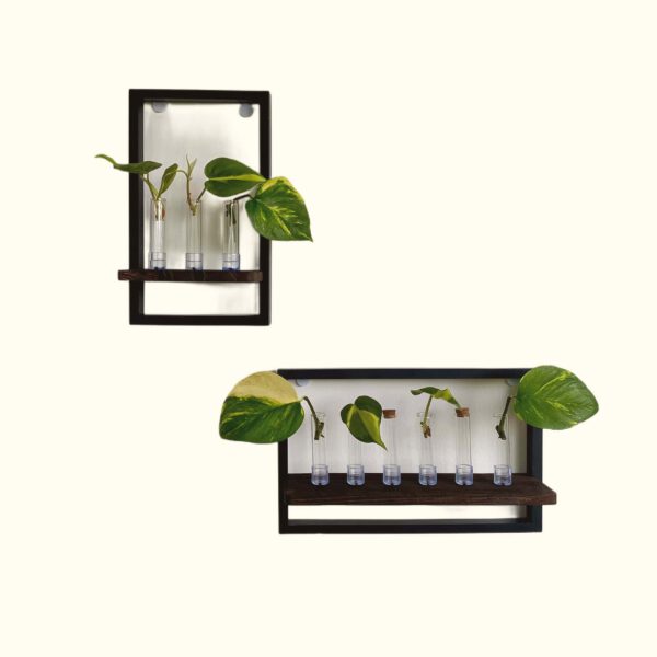 Stekstation61 PlantStuff attachment caption