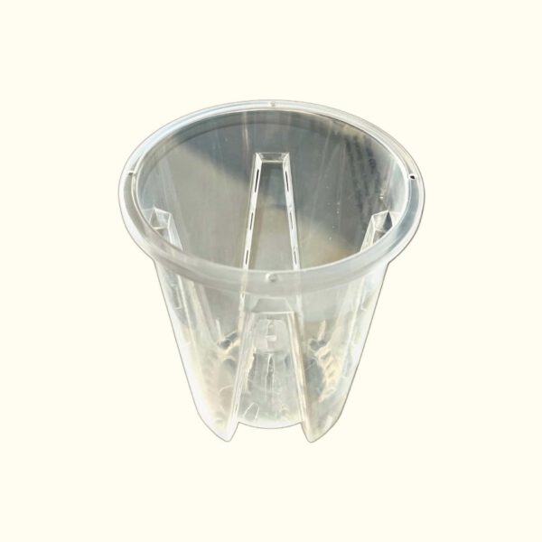 Aroid Pot